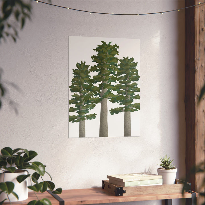 Sitka Spruce Print – Unframed Wall Art
