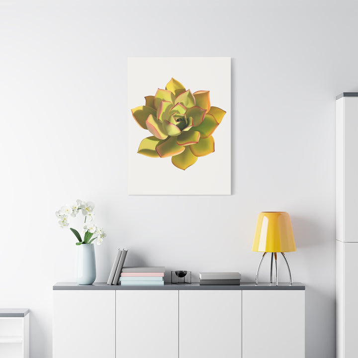 Noble Aeonium Succulent Canvas Wall Art Print for Modern Home Decor by The Potted Pixel