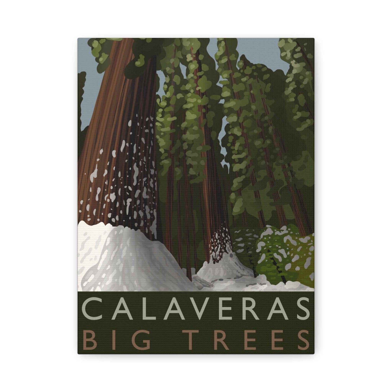 Calaveras Big Trees Minimalist Canvas