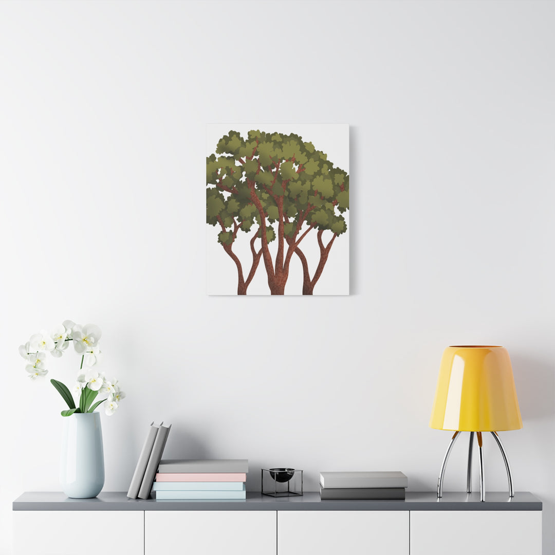 Pacific Madrone Canvas Print – Wall Art