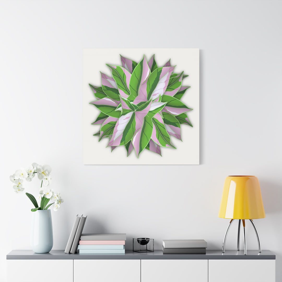 Syngonium Tricolor Canvas Print – Botanical Wall Art - The Potted Pixel