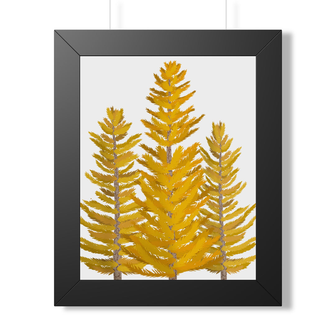 Western Larch Framed Print – Wall Art