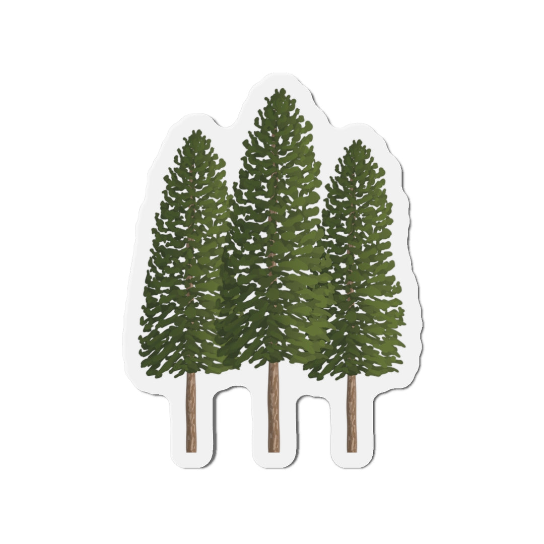 Ponderosa Pines Magnet