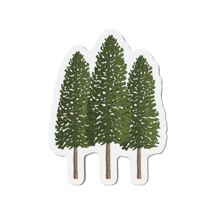 Ponderosa Pines Magnet