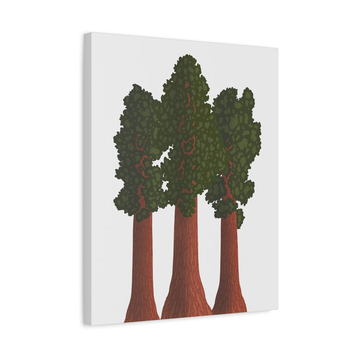 Giant Sequoias Canvas Print – Wall Art