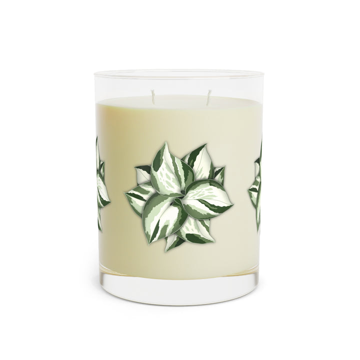Manjula Pothos 11oz Scented Soy Candle Featuring White Tea Fig Minted Lavender Sage Or Ocean Mist Moss Home Fragrance
