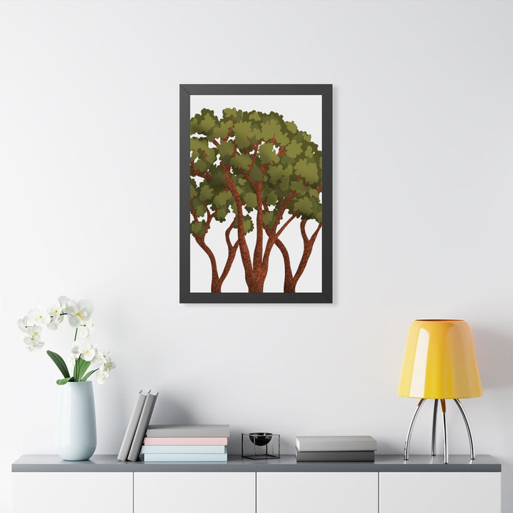 Pacific Madrone Framed Print – Wall Art