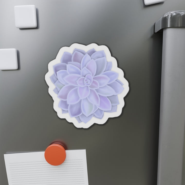Graptopetalum Murasaki Succulent Magnet