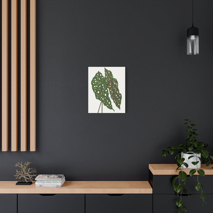 Begonia Maculata Canvas Premium Botanical Wall Art Print On Cotton Canvas With Matte Finish For Indoor Decor