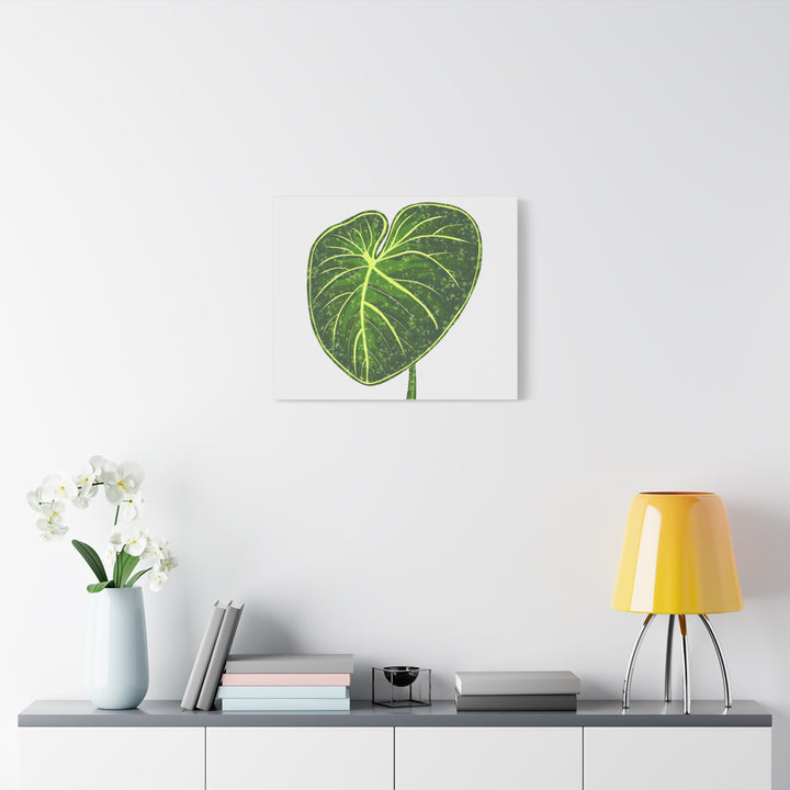 Philodendron Gloriosum Canvas Print Stretched Wall Art Botanical Leaf Print Matte Finish Gallery Wrapped Canvas