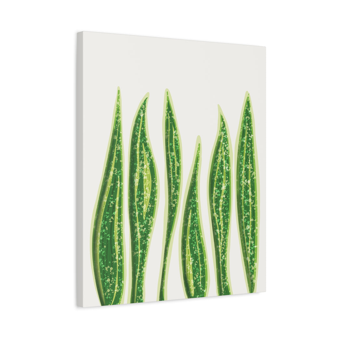 Snake Plant Canvas Print Matte 1.25 Inch Stretch Canvas Wall Art For Living Room Decor