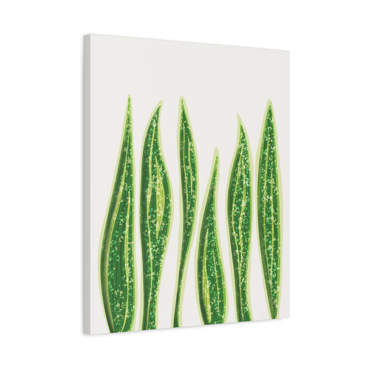 Snake Plant Canvas Print Matte 1.25 Inch Stretch Canvas Wall Art For Living Room Decor