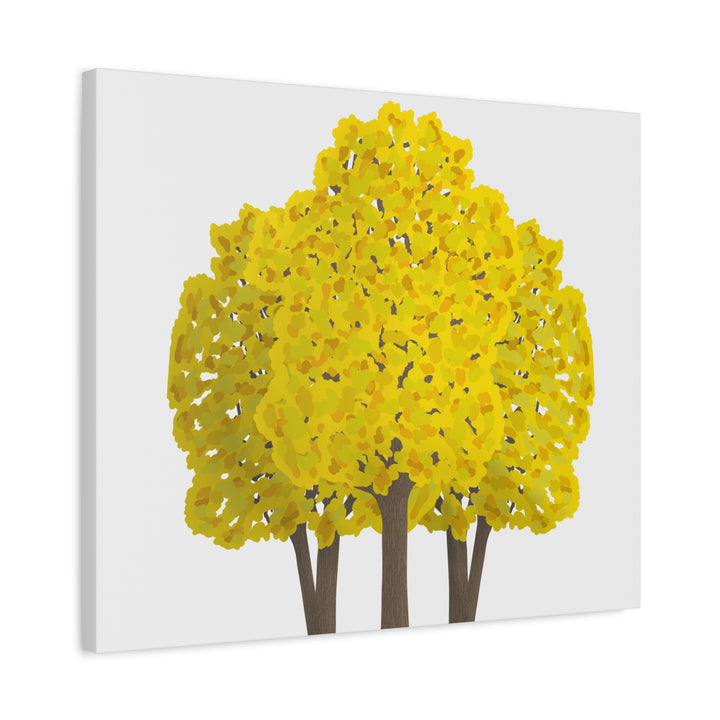 Big Leaf Maple Canvas Print – Wall Art