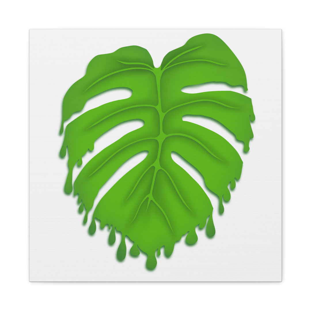 Melting Monstera Canvas Wall Art Large Botanical Print On Premium Cotton With Matte Finish For Indoor Decor