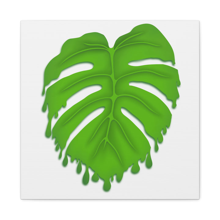 Melting Monstera Canvas Wall Art Large Botanical Print On Premium Cotton With Matte Finish For Indoor Decor