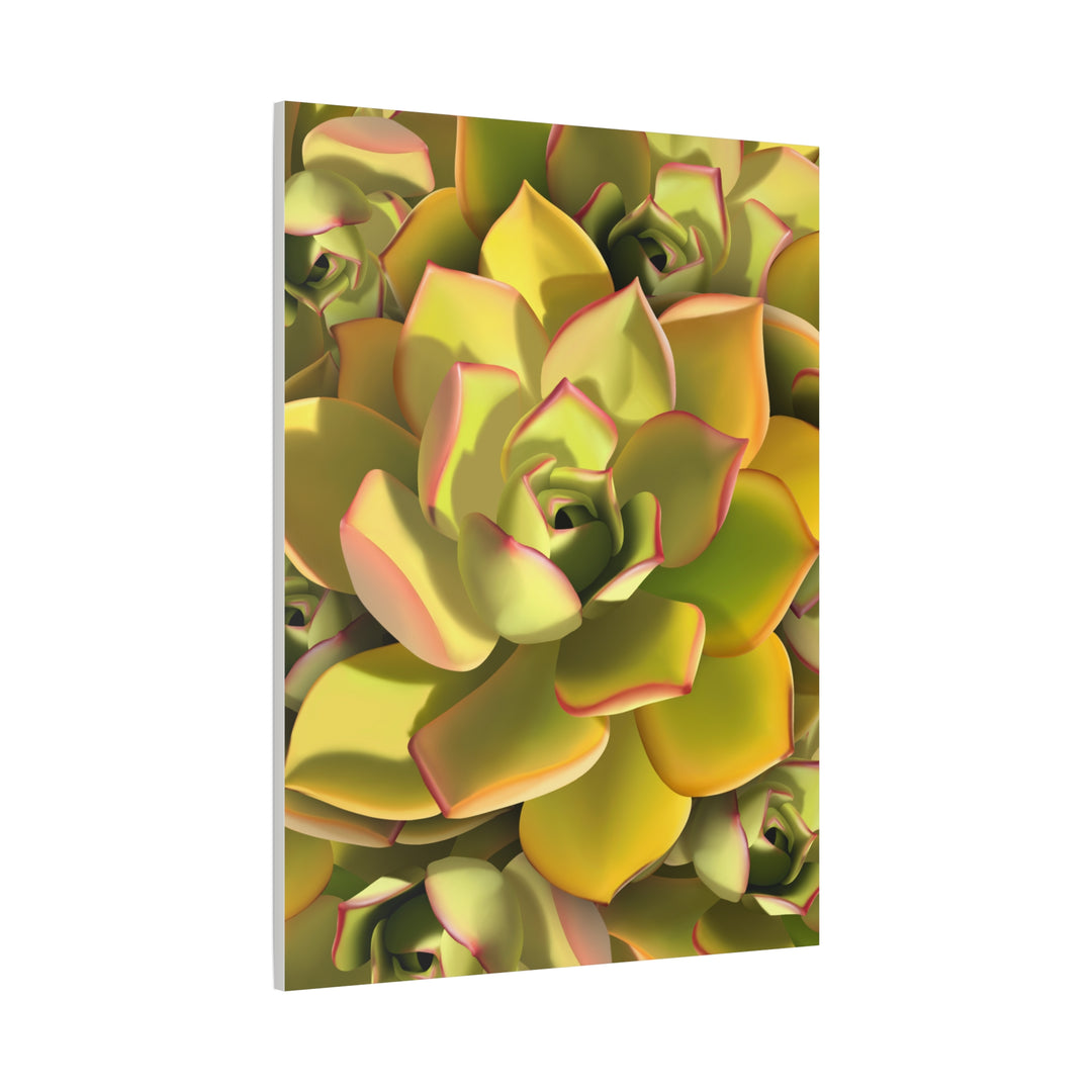 Succulent Canvas Art Vibrant Aeonium Print On Matte Canvas Wall Decor 12x18 Inches Indoor Home