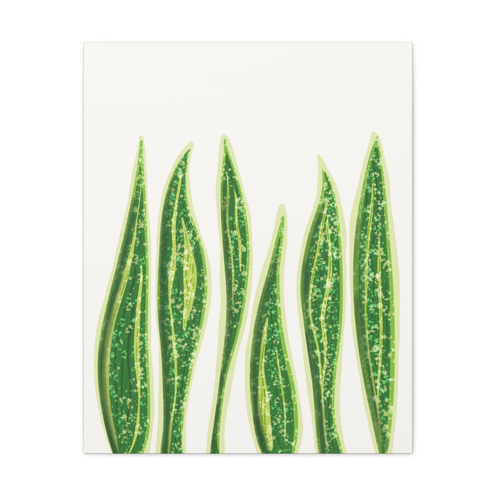 Snake Plant Canvas Print Matte 1.25 Inch Stretch Canvas Wall Art For Living Room Decor