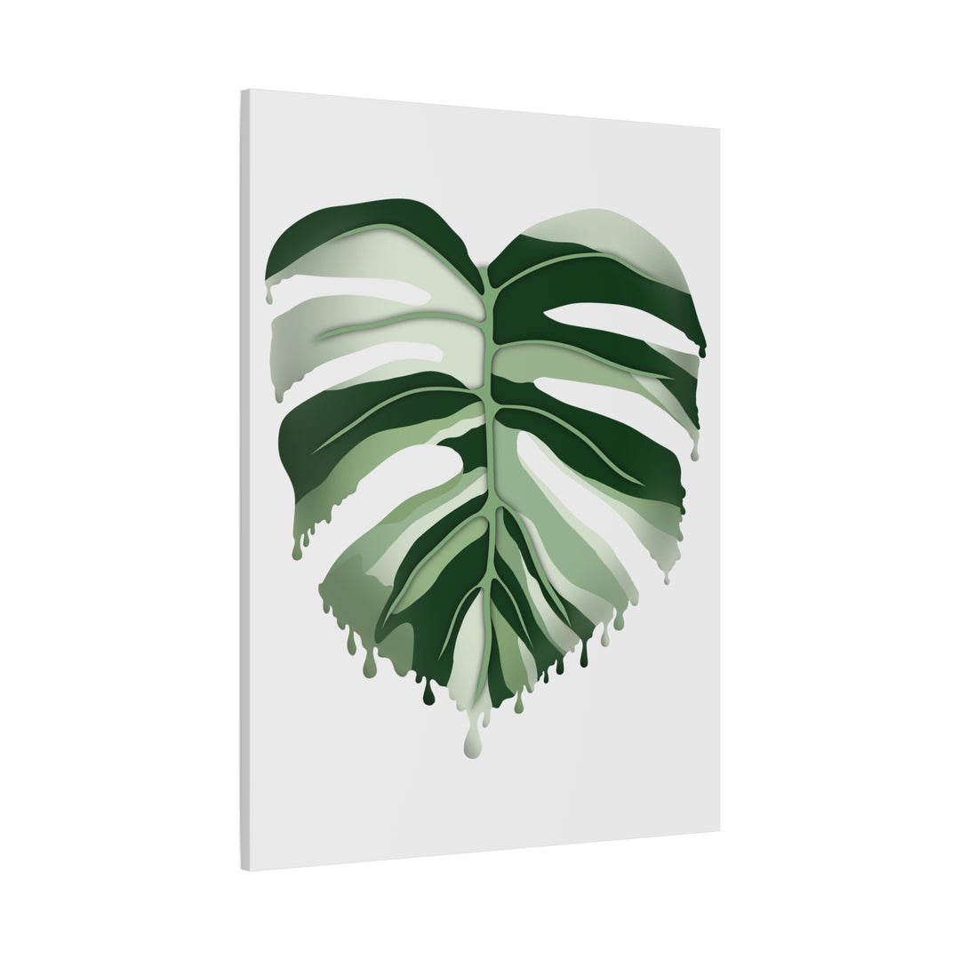 Melting Monstera Albo Canvas Large Indoor Wall Art Print Matte Finish Tropical Home Decor
