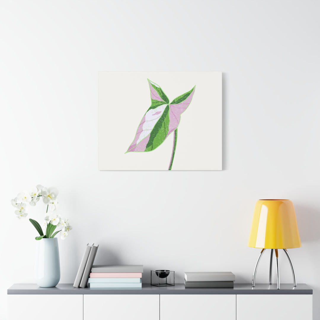 Syngonium Tricolor Canvas Print – Botanical Wall Art - The Potted Pixel