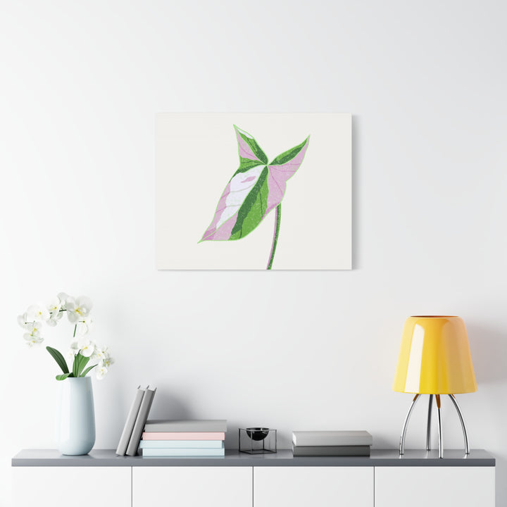 Syngonium Tricolor Canvas Print – Botanical Wall Art - The Potted Pixel