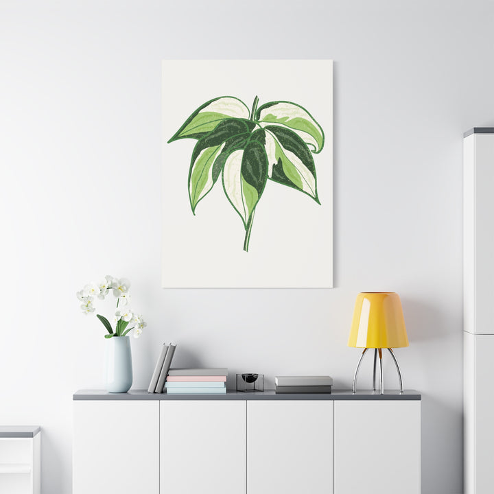 Philodendron Canvas Print Cream Splash Variegated Plant Art On Matte Cotton Canvas For Home Wall Decor