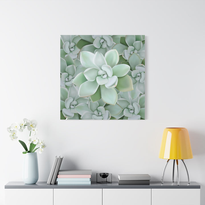 Pachyveria Haagei Succulent Pattern Canvas Art for Modern Home Decor 16x20 Matte Print