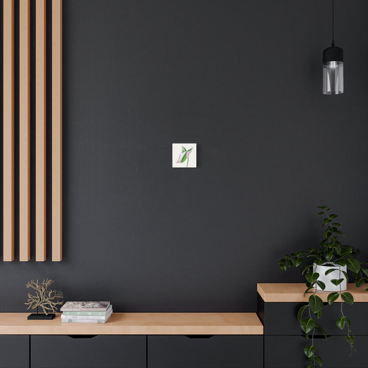 Syngonium Tricolor Canvas Print – Botanical Wall Art - The Potted Pixel