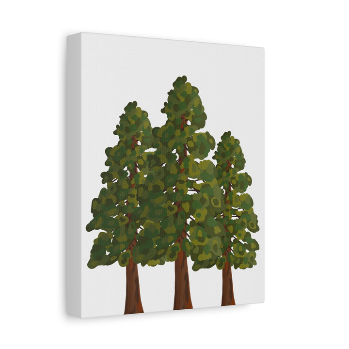 Coastal Redwoods Matte Canvas Print On 1.25 Inch Stretched Canvas For Serene Forest Wall Art In Living Rooms