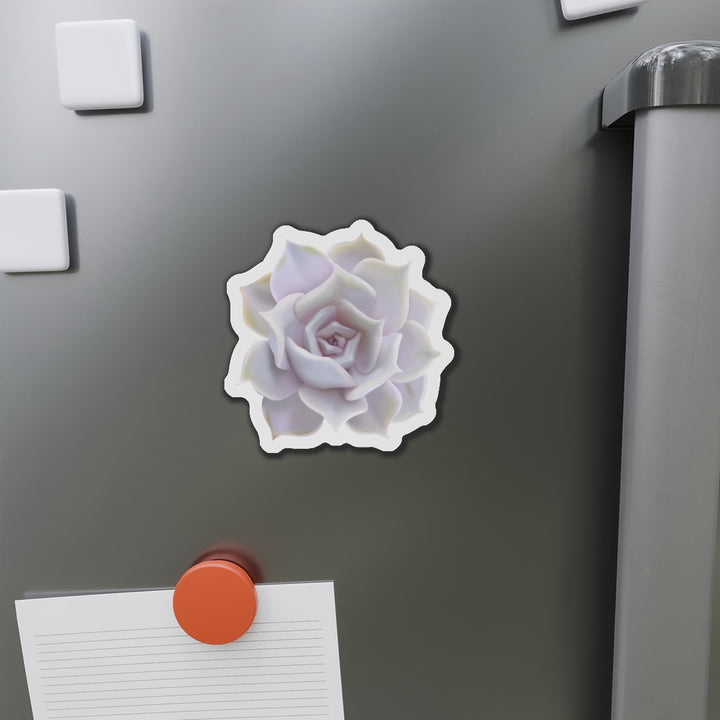 Echeveria Lilacina Succulent Magnet