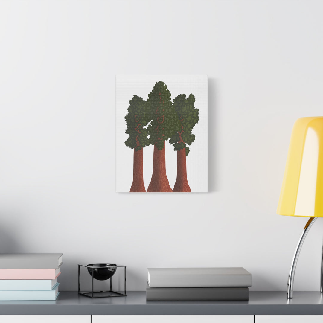Giant Sequoias Canvas Print – Wall Art