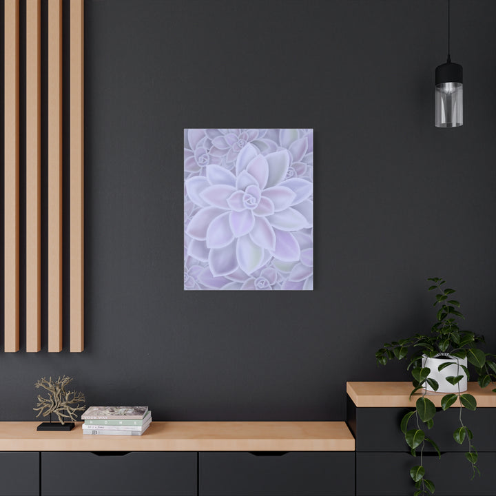 Graptopetalum Murasaki Succulent Canvas Art Print Pastel Purple Rosette Indoor Plant Decor