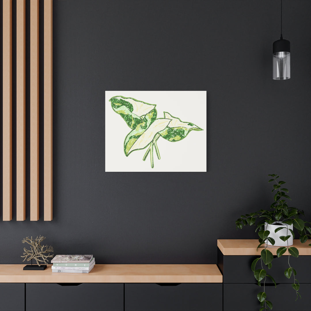Marble Syngonium Canvas Botanical Wall Art Stretched Print On Durable Cotton Canvas Matte Finish