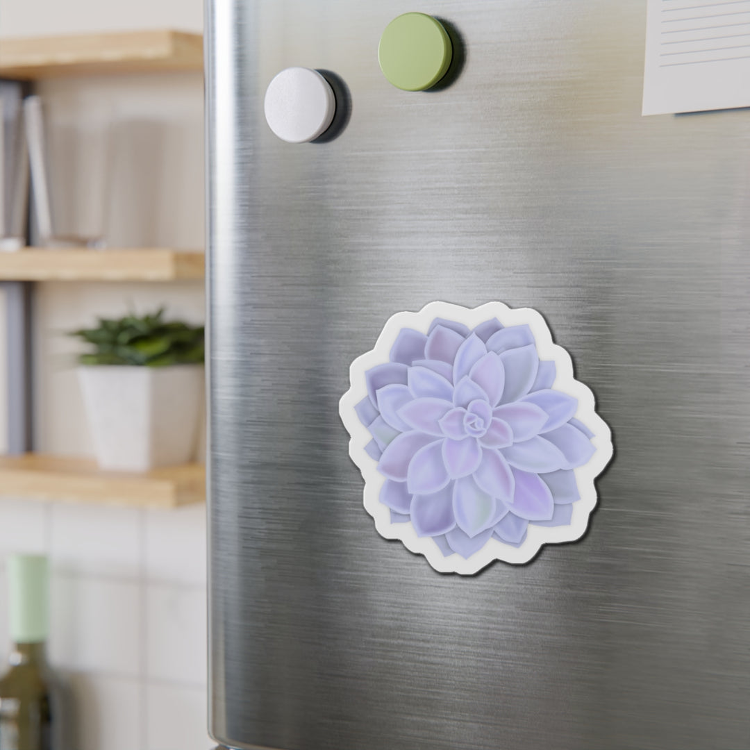 Graptopetalum Murasaki Succulent Magnet