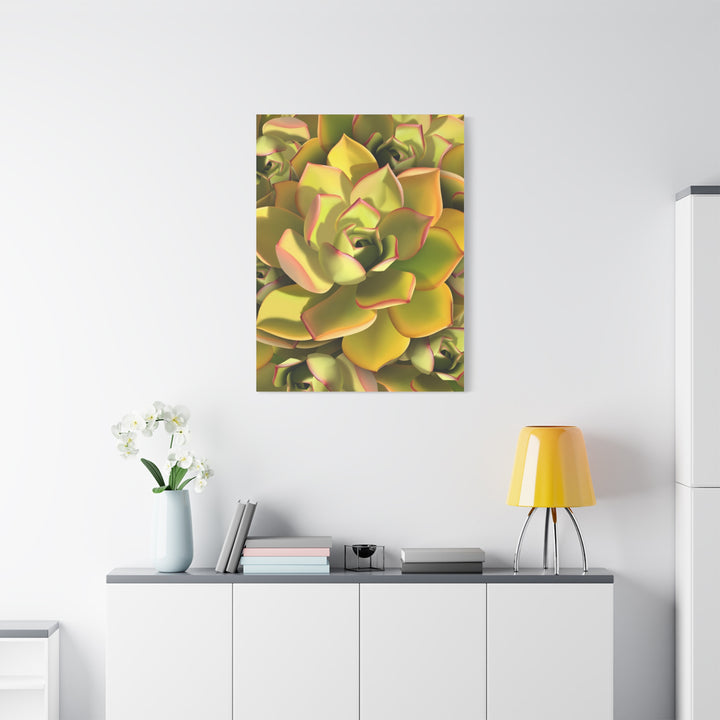 Succulent Canvas Art Vibrant Aeonium Print On Matte Canvas Wall Decor 12x18 Inches Indoor Home