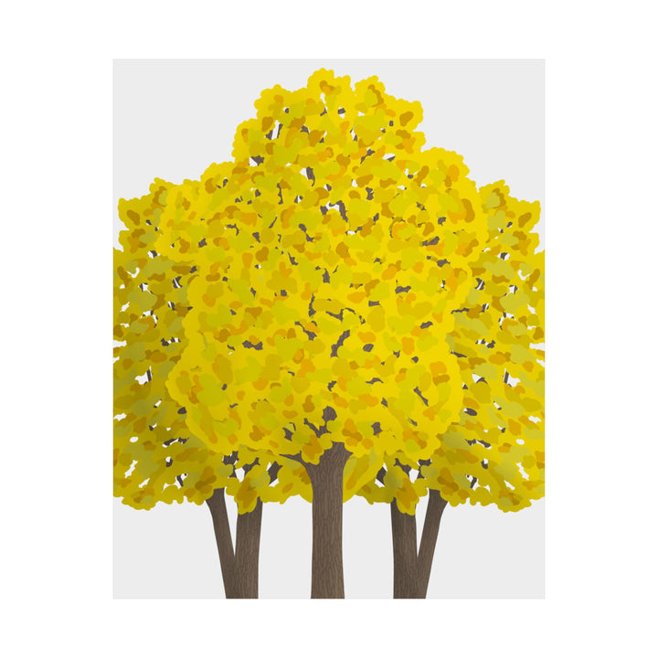 Big Leaf Maple Print – Unframed Wall Art