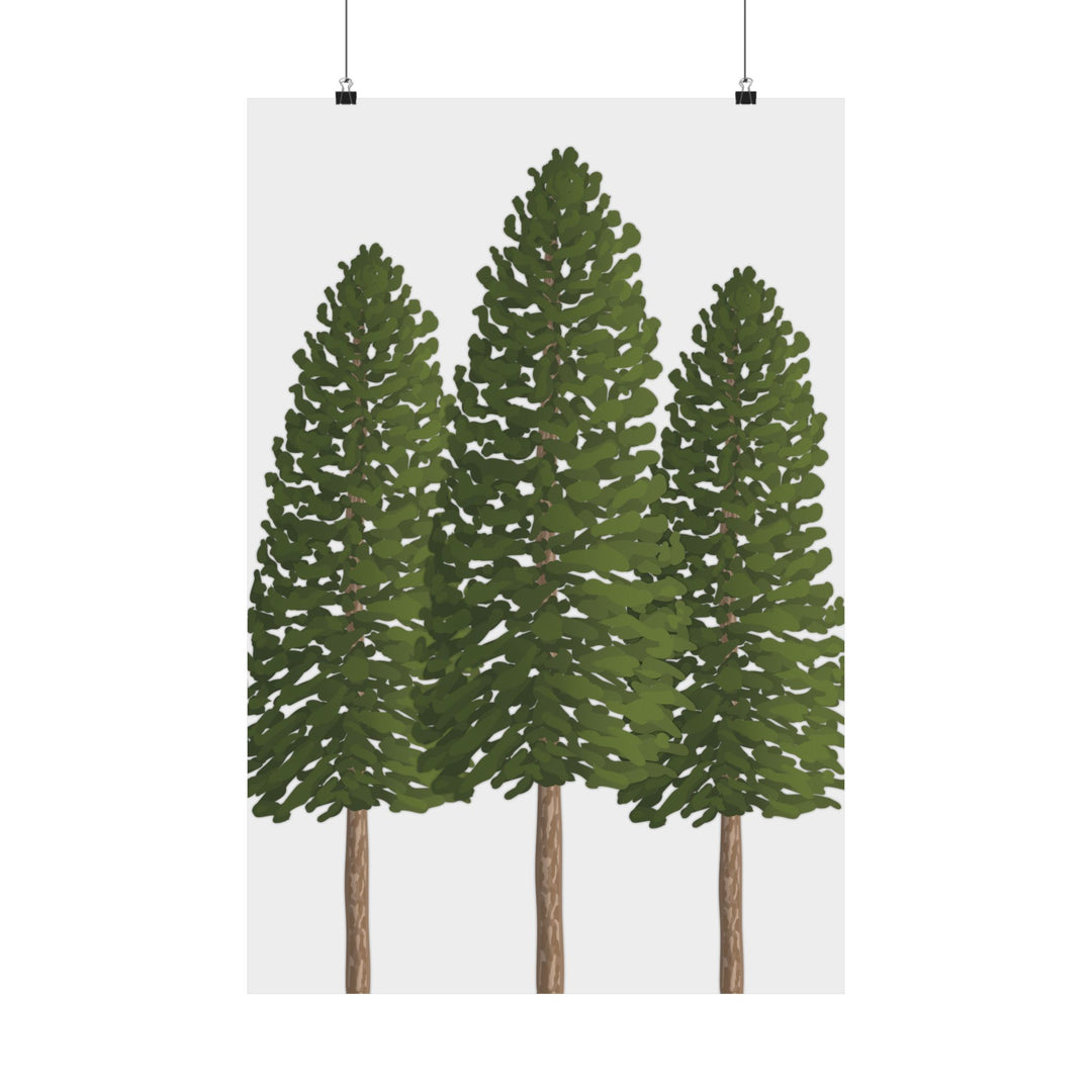 Ponderosa Pine Print – Unframed Wall Art