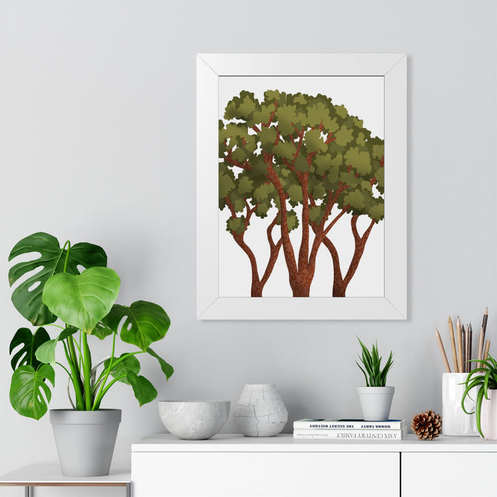 Pacific Madrone Framed Print – Wall Art