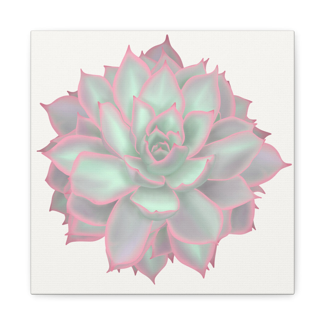 Echeveria Violet Queen Canvas Wall Art Rosette Succulent Print With Matte Finish