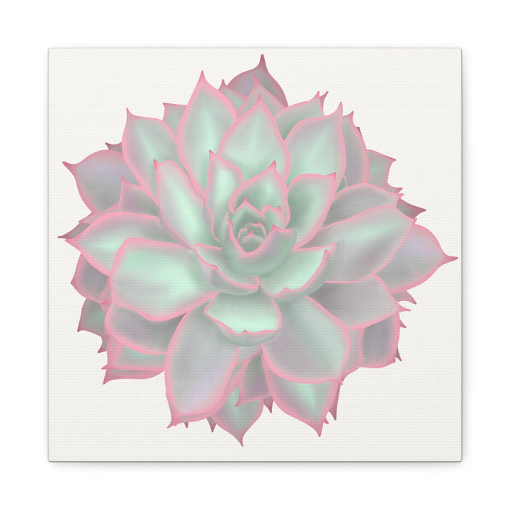 Echeveria Violet Queen Canvas Wall Art Rosette Succulent Print With Matte Finish