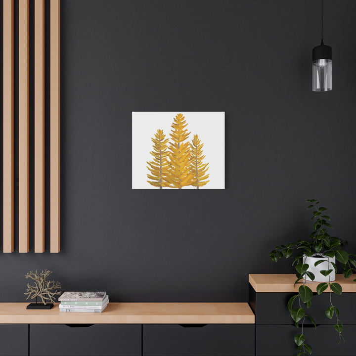 Western Larch Canvas Print – Wall Art