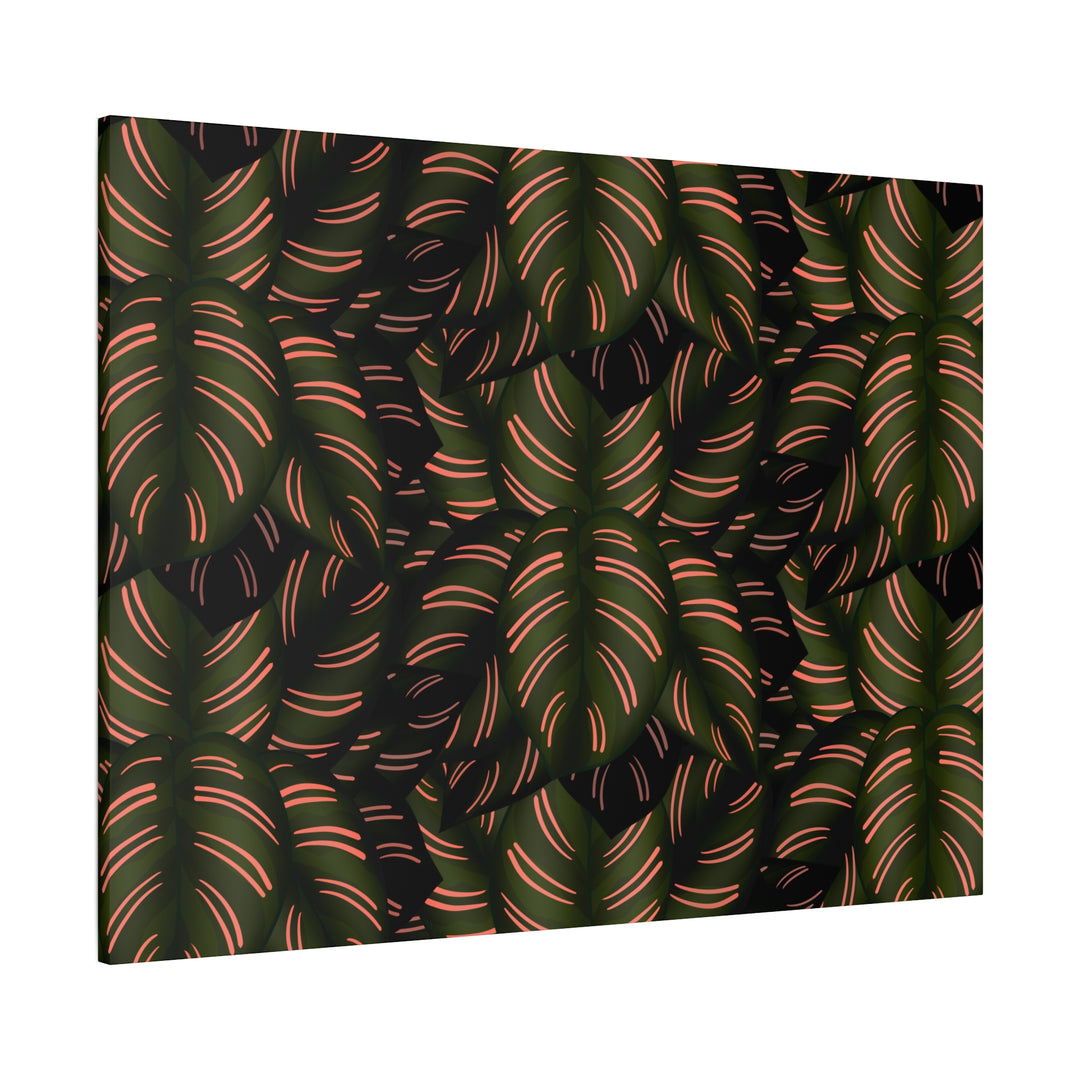 Calathea Pinstripe Canvas Print With Matte Finish Stretched Botanical Wall Art For Living Room Decor