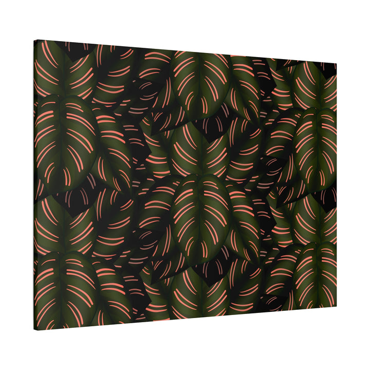 Calathea Pinstripe Canvas Print With Matte Finish Stretched Botanical Wall Art For Living Room Decor