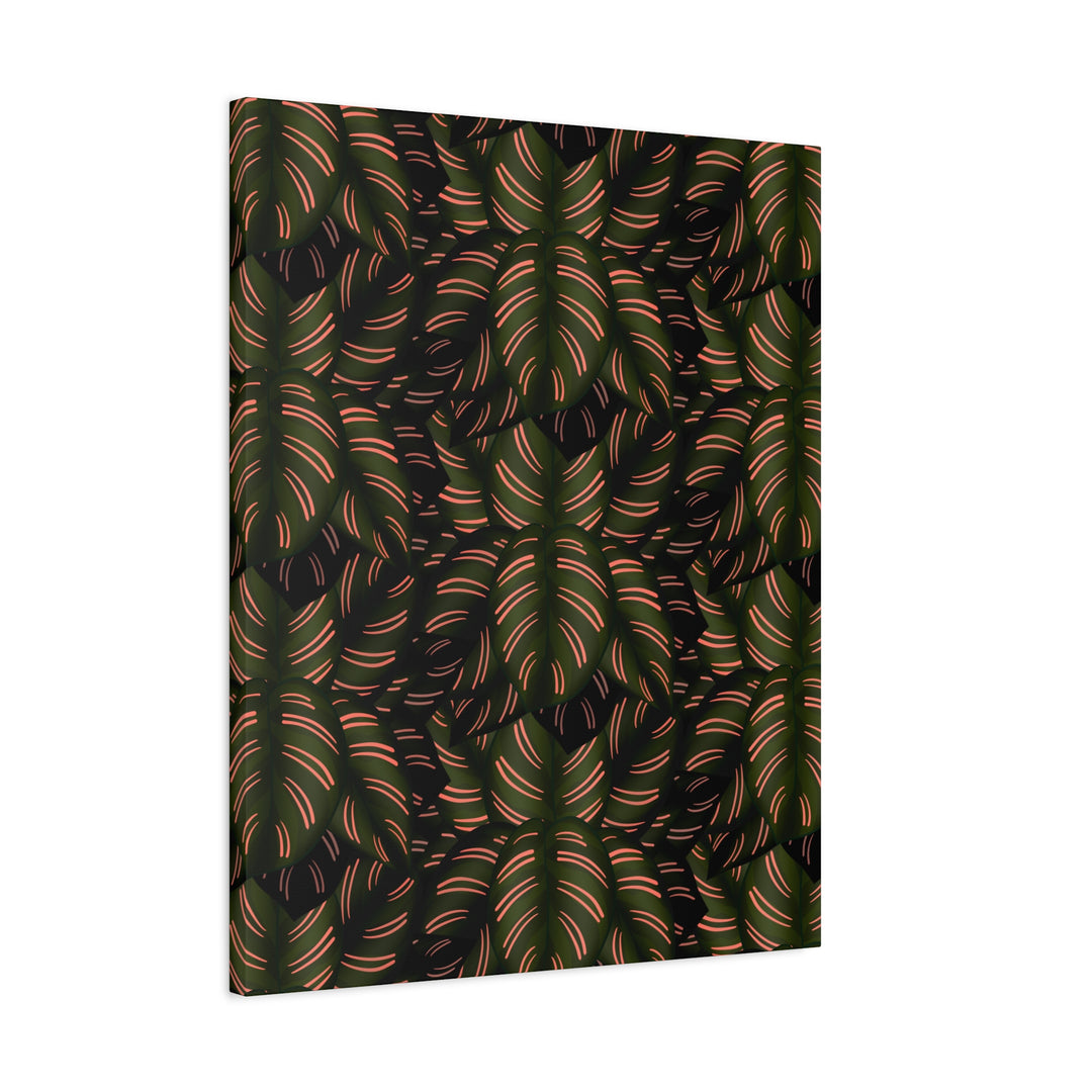 Calathea Pinstripe Canvas Print With Matte Finish Stretched Botanical Wall Art For Living Room Decor