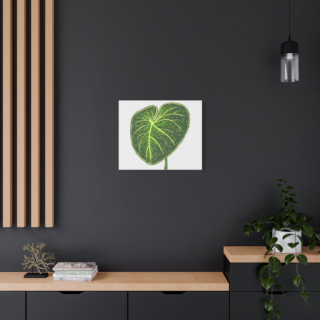 Philodendron Gloriosum Canvas Print Stretched Wall Art Botanical Leaf Print Matte Finish Gallery Wrapped Canvas