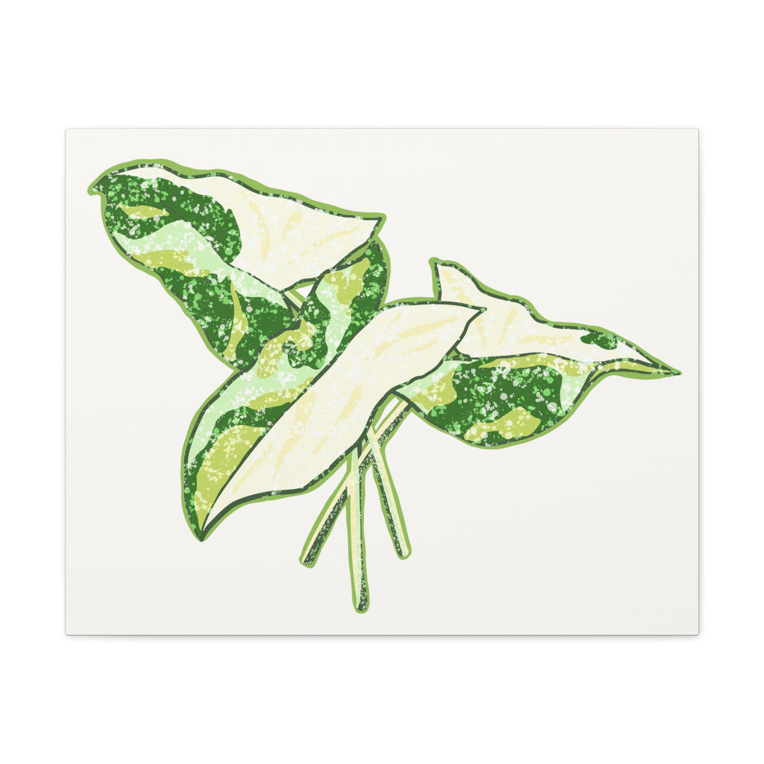 Marble Syngonium Canvas Botanical Wall Art Stretched Print On Durable Cotton Canvas Matte Finish