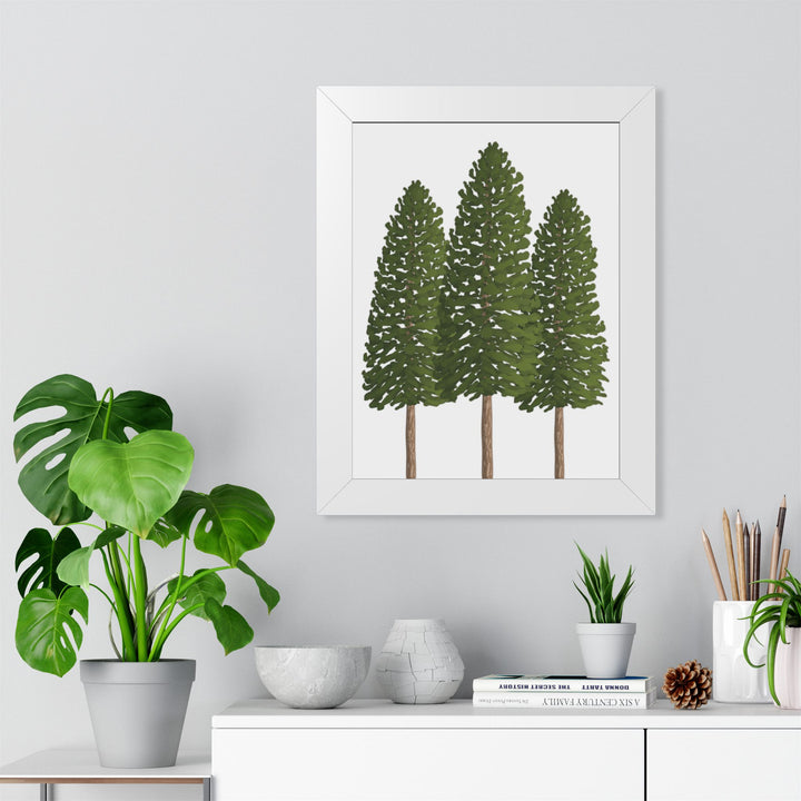 Ponderosa Pine Framed Print – Wall Art