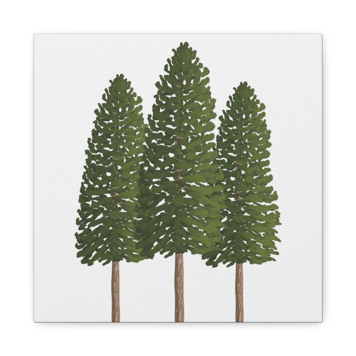 Three Ponderosa Pine Canvas Wall Art Matte Stretched Print Minimalist Forest Landscape Decor