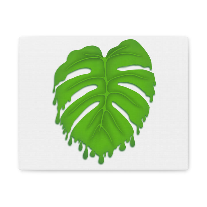 Melting Monstera Canvas Wall Art Large Botanical Print On Premium Cotton With Matte Finish For Indoor Decor