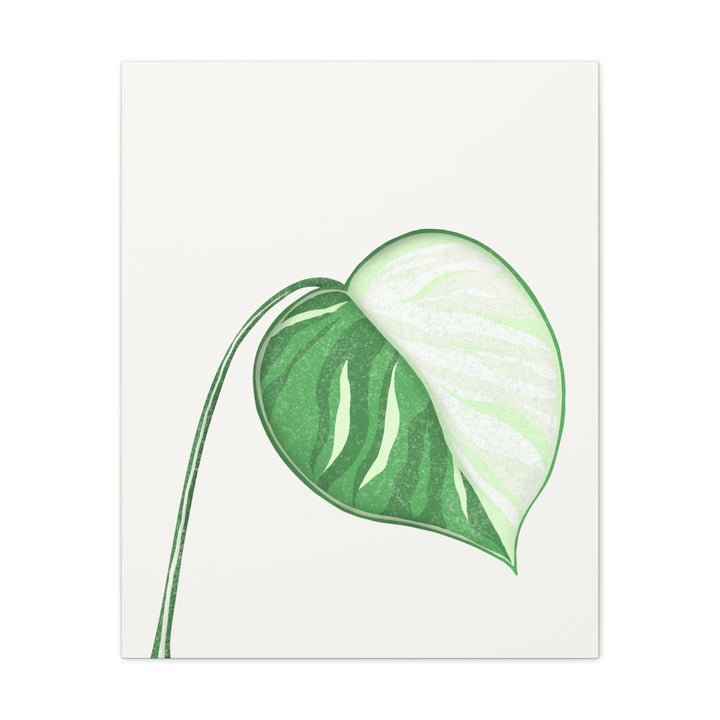 Monstera Albo Canvas Large Stretched Premium Quality Cotton Canvas Wall Art Tropical Leaf Poster Decor