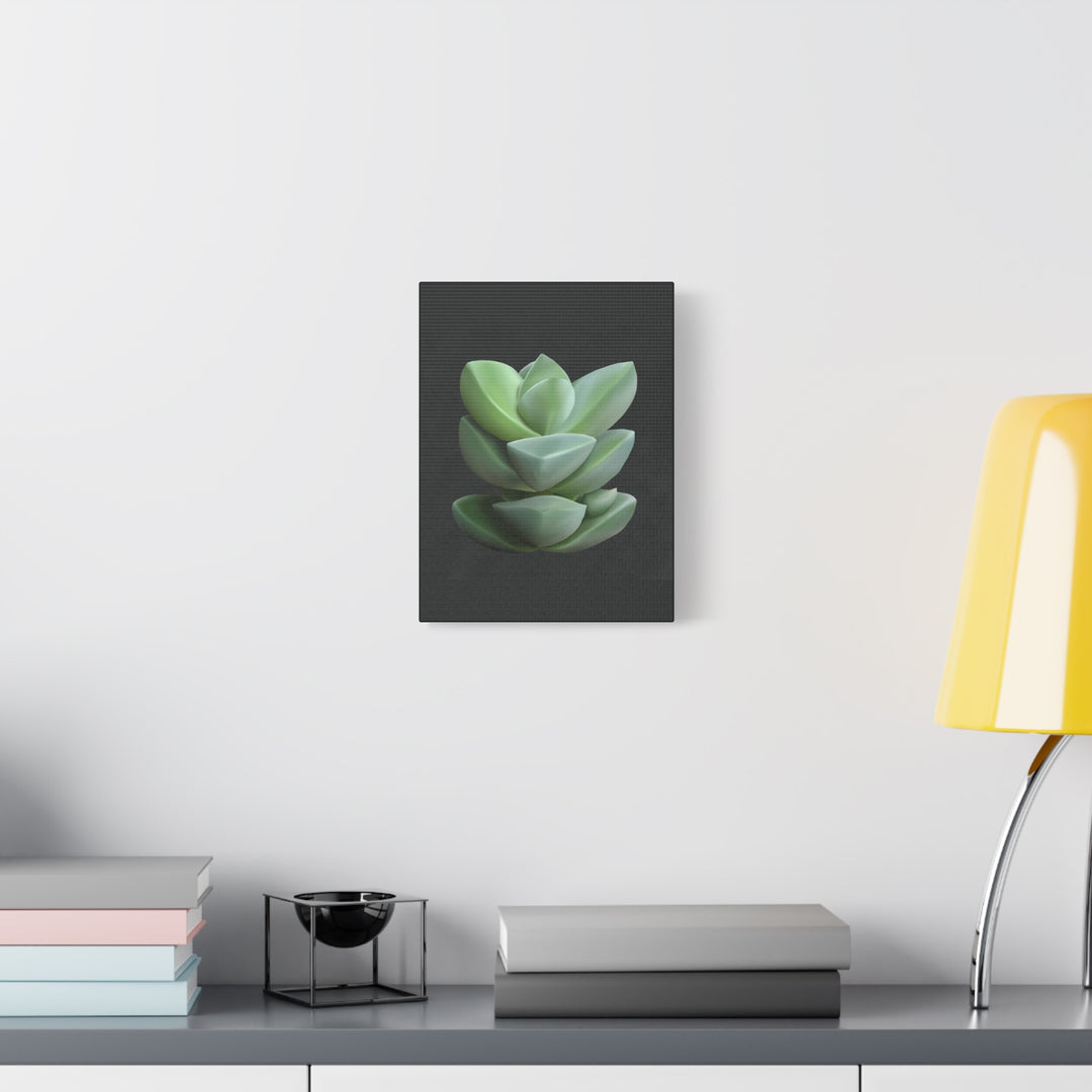 Crassula Canvas Print – Botanical Wall Art